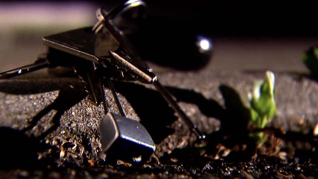 T01:C01 - S01:E01 - El Caso De Patrice Baud