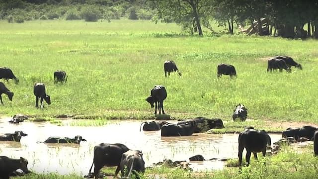 S01:E03 - Lunar Landscapes and Drive by Shootings