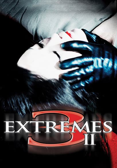 Three Extremes II