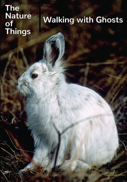 The Nature of Things: Walking With Ghosts