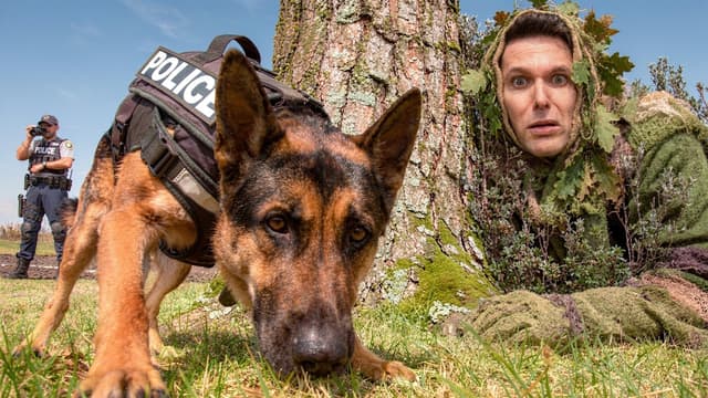 S01:E16 - Police Dog Tracker Challenge