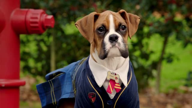 S01:E06 - Spark Strays