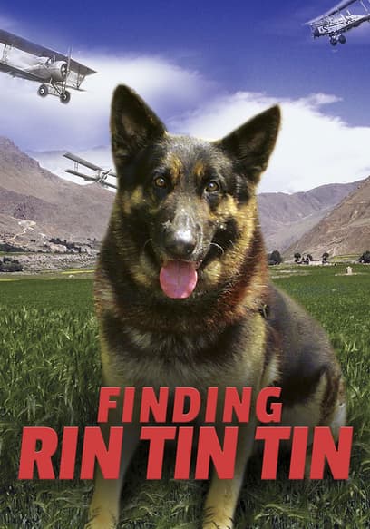 Finding Rin Tin Tin