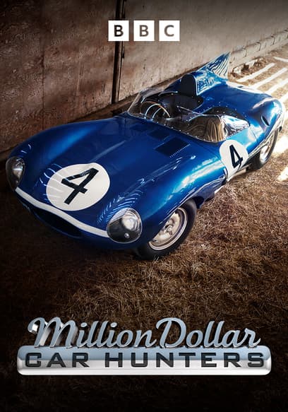 Million Dollar Car Hunters