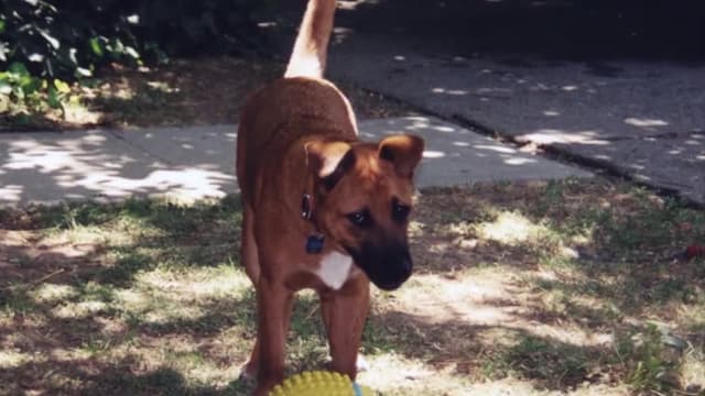 S02:É10 - S02:E10 - Expecting Trouble