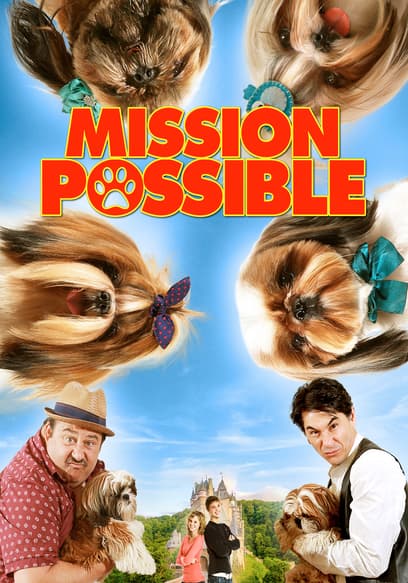 Mission Possible poster