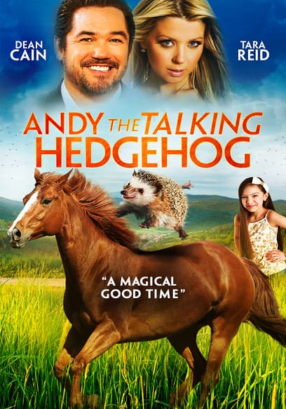 Andy the Talking Hedgehog