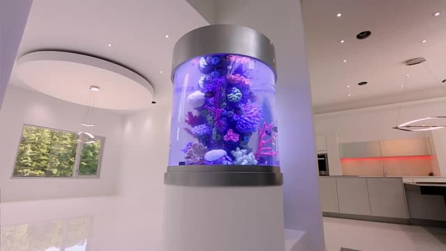 S11:E01 - Fish Flop Hip Hop