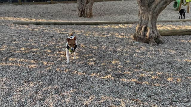 S03:E06 - Two Full Moons