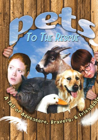 Pets