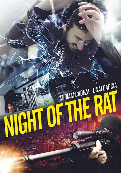 Night of the Rat