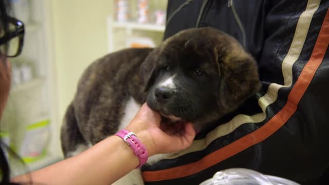 S02:E04 - Against All Odds