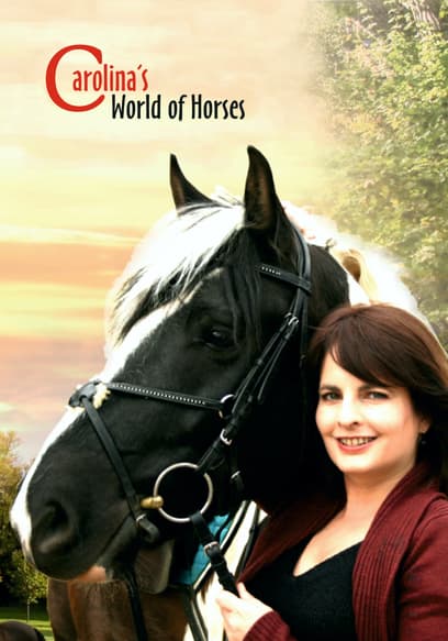 Carolina's World of Horses