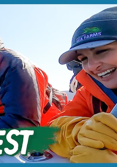 S01:E03 - Sustainable Seaweed Farming poster