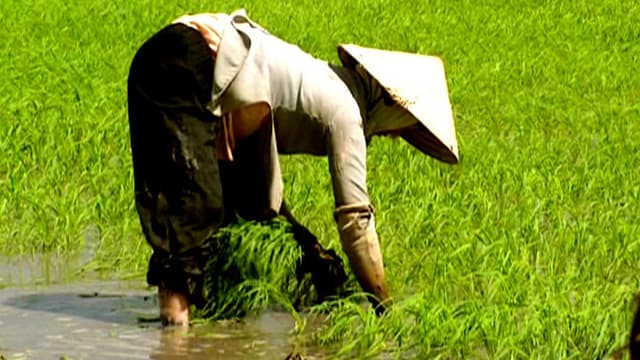 S01:E03 - La joya del Mekong