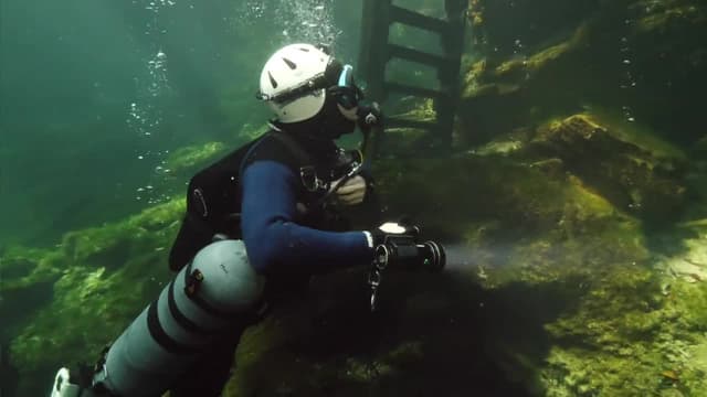 S08:E05 - Florida Aquifers + Bull Sharks of Florida