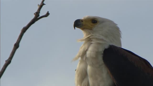 S01:E03 - La costa de la maravilla