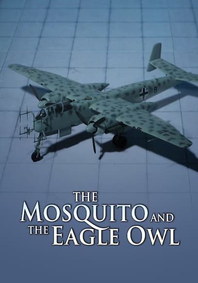 The Mosquito and the Eagle Owl