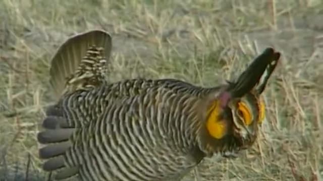 S01:E21 - Episode 21