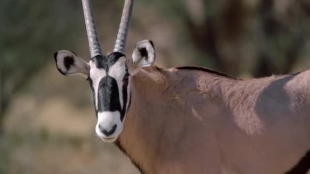 S02:E07 - Colours & Patterns