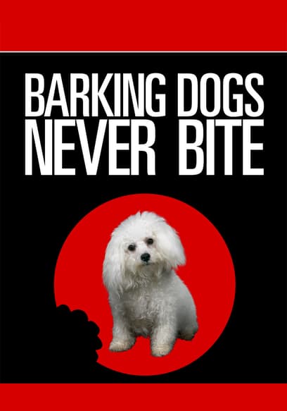 Barking Dogs Never Bite
