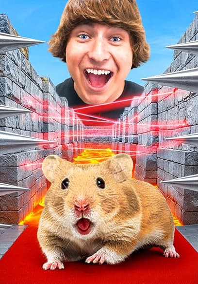 S01:E05 - Building a Minecraft Maze for a Hamster to Escape! poster