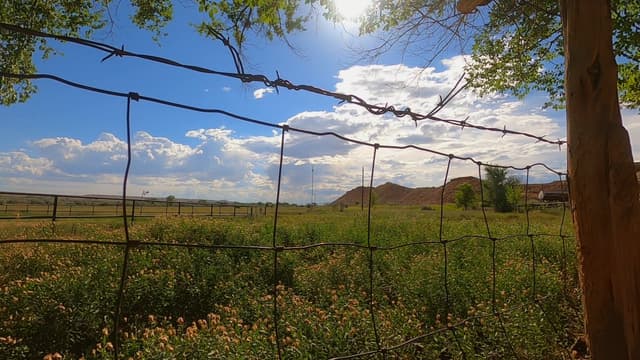 S04:E10 - A Frequency Occurrence