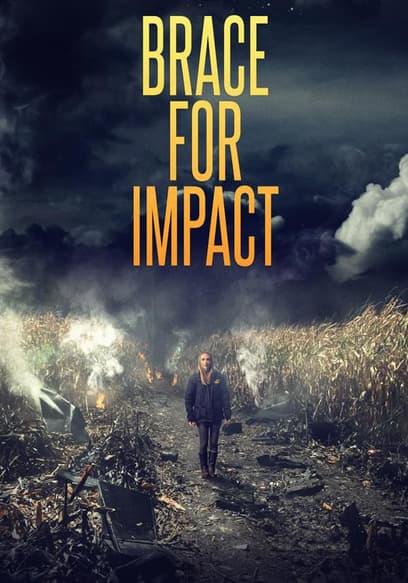 Brace for Impact poster