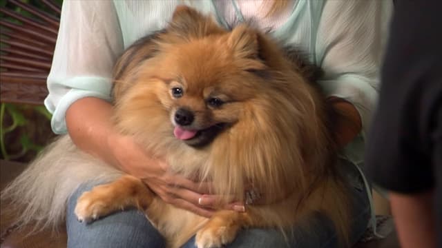 S02:É11 - S02:E11 - LA Laker Meltdown