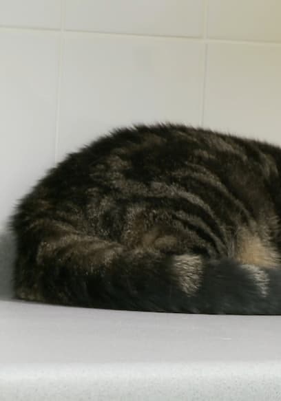S01:E07 - Episode 7 poster