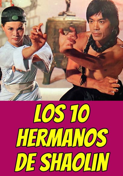 Los 10 Hermanos De Shaolin (Doblado)