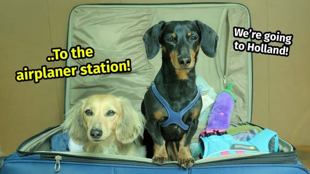 S01:E18 - Dachshunds Take on Europe