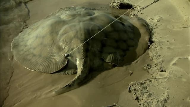 S03:E03 - Silent Assassin