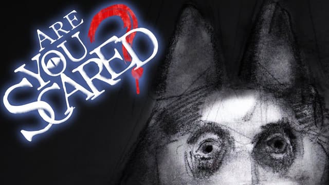 S01:E13 - The Smile Dog