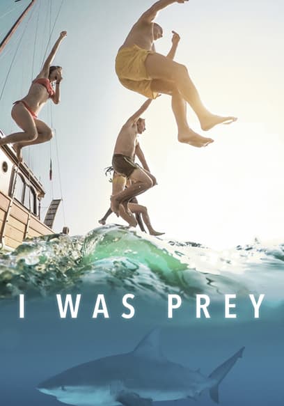 S02:E12 - A Christmas Miracle