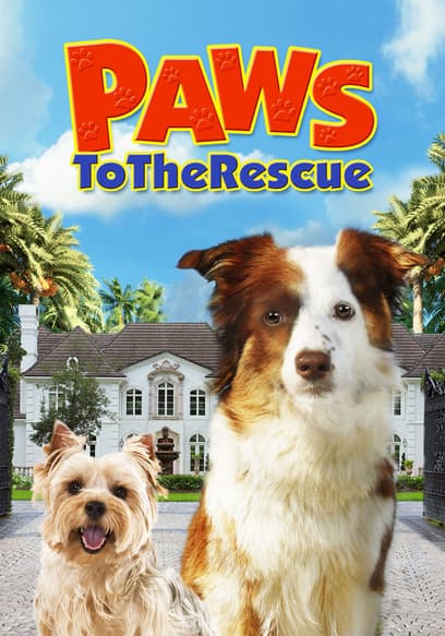 Paws to the Rescue