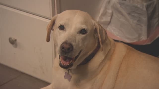 S08:E01 - A New Adventure