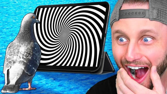 S02:E09 - World's Dumbest Animals