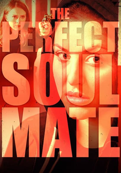 The Perfect Soulmate