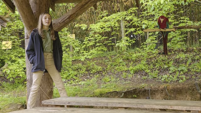 S01:E08 - It's for the Birds