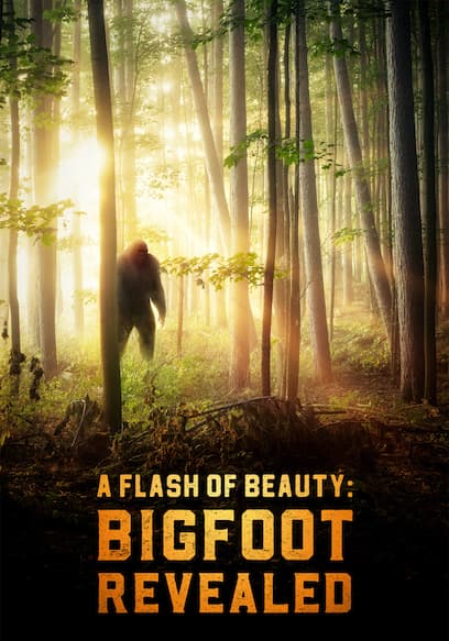 A Flash of Beauty: Bigfoot Revealed