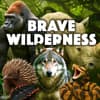 Brave Wilderness