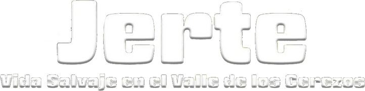 Jerte: vida salvaje en el valle de los cerezos