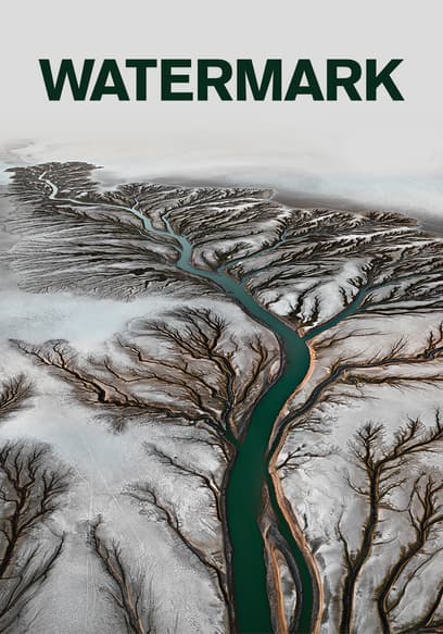 Watermark poster