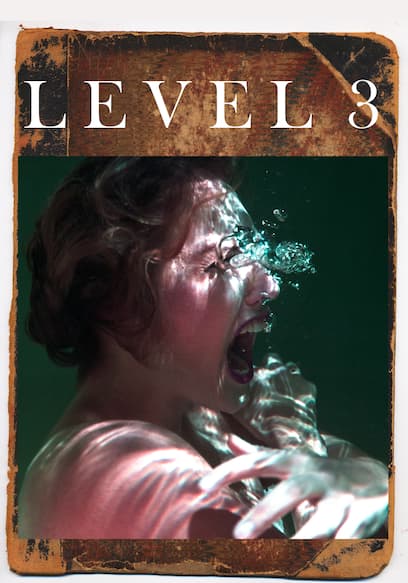 Level 3