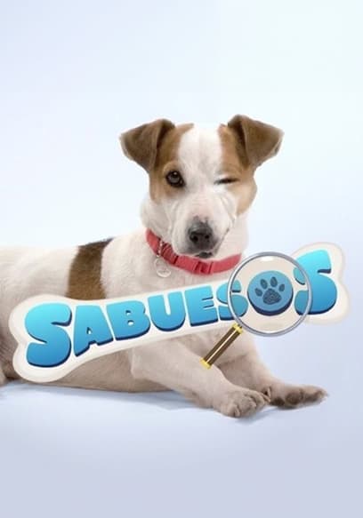 Sabuesos