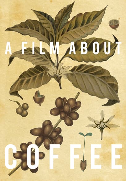 A Film About Coffee