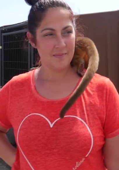 S01:E01 - Episode 1: Visit the Pet Farm (Pt. 1) poster