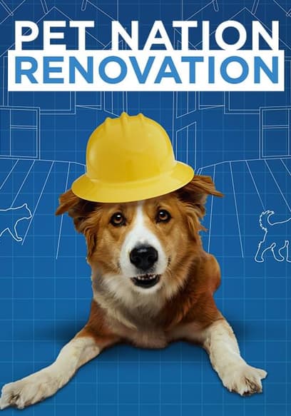 Pet Nation Renovation