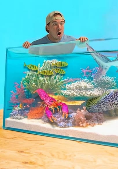 Watch The Fish Guys S03:E08 - Completing My Dream Saltwater Reef Pond ...